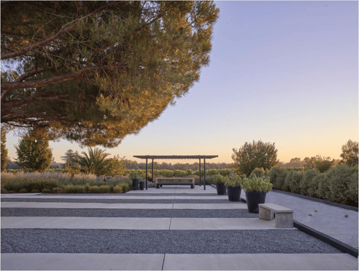 Escapade dans la région viticole