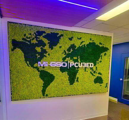 Mur de mousse préservé