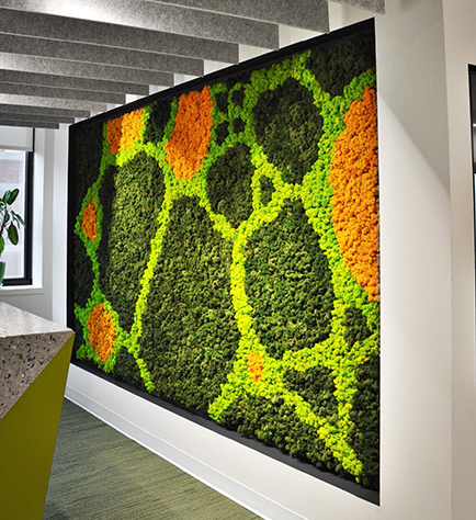 Mur de mousse préservé