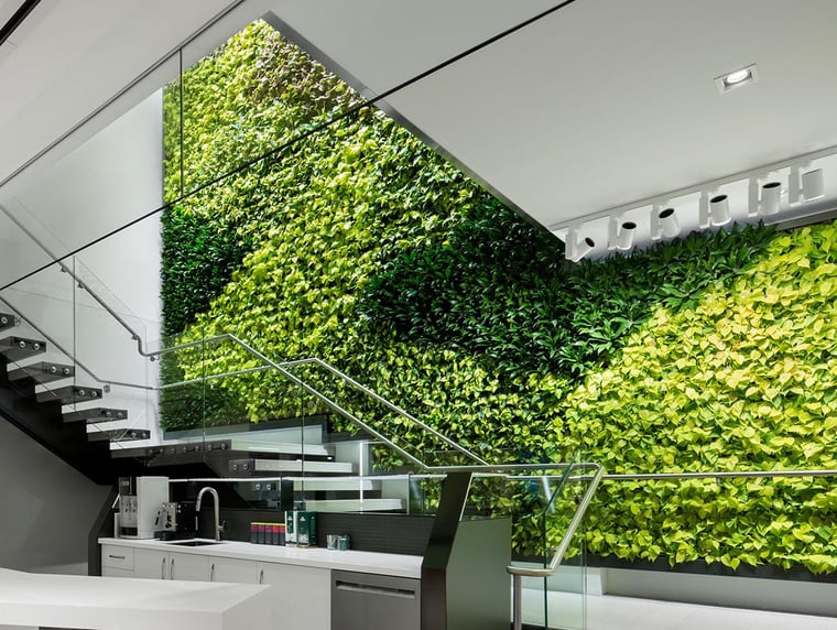 Mur végétal intérieur